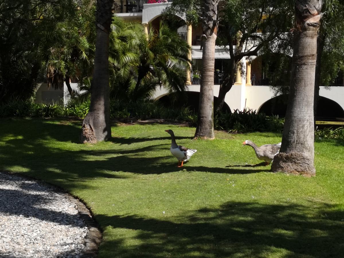 Majorca Apartments By Bon Hotels Cape Town Bagian luar foto