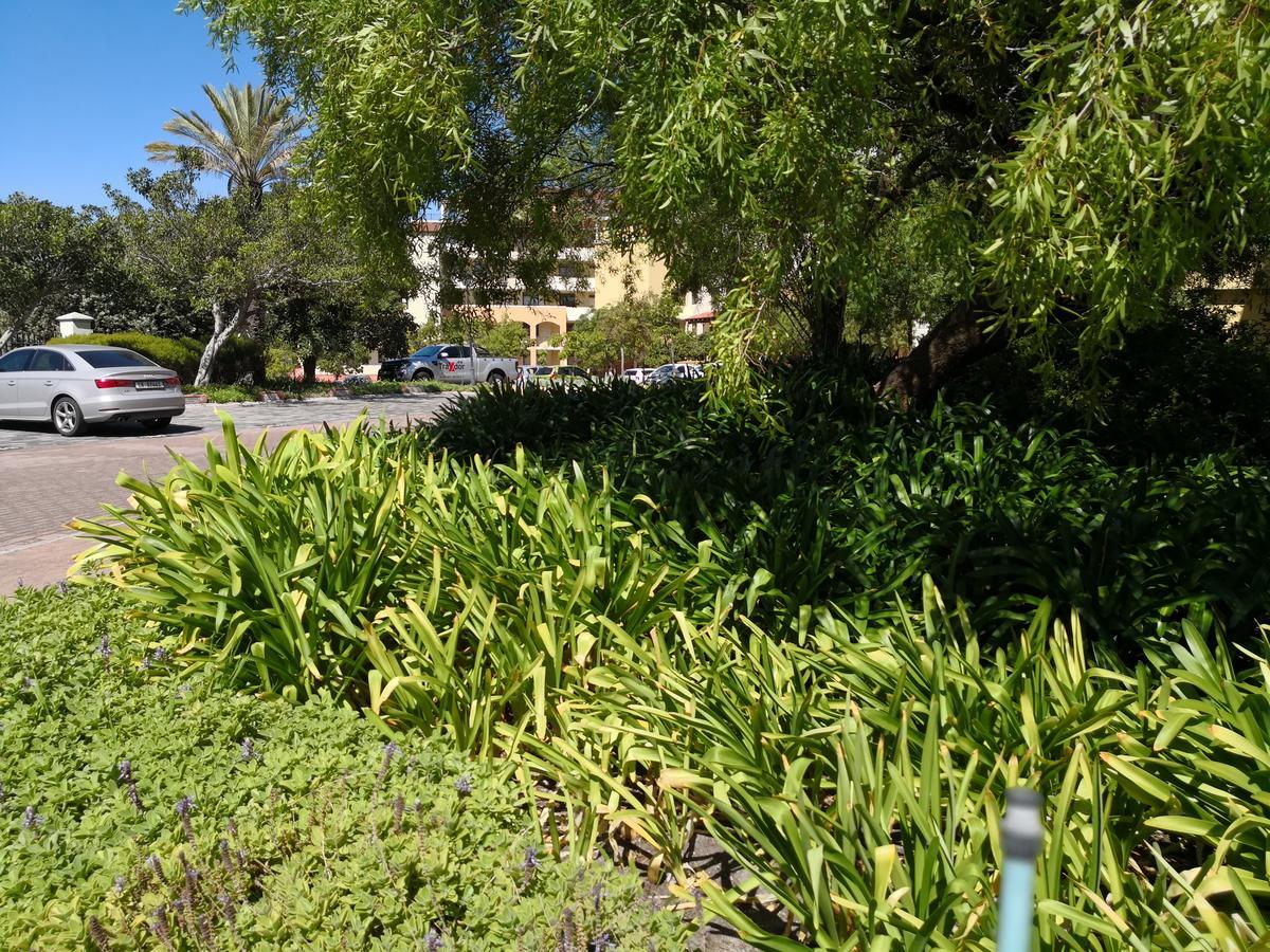 Majorca Apartments By Bon Hotels Cape Town Bagian luar foto